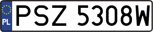 PSZ5308W