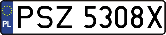 PSZ5308X