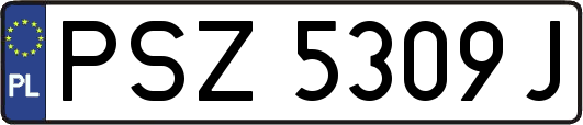 PSZ5309J