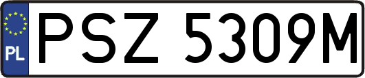 PSZ5309M
