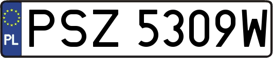 PSZ5309W