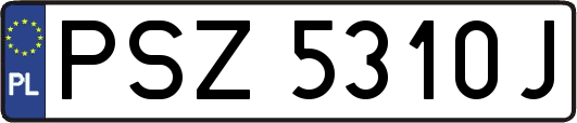 PSZ5310J
