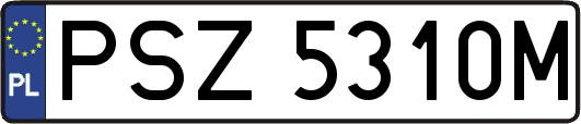 PSZ5310M