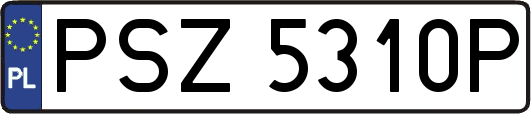 PSZ5310P