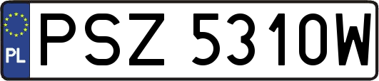 PSZ5310W
