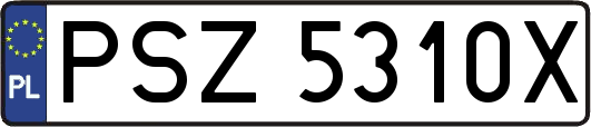 PSZ5310X
