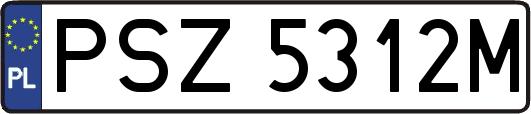PSZ5312M