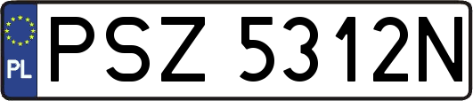 PSZ5312N