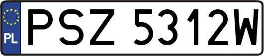 PSZ5312W