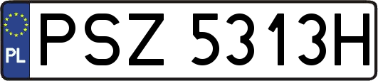PSZ5313H