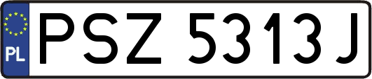 PSZ5313J