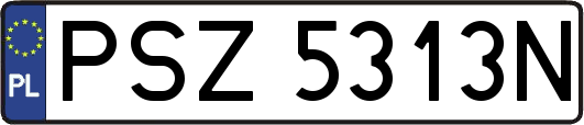 PSZ5313N