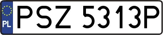 PSZ5313P