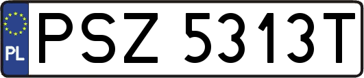 PSZ5313T