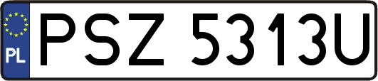 PSZ5313U