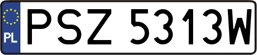 PSZ5313W