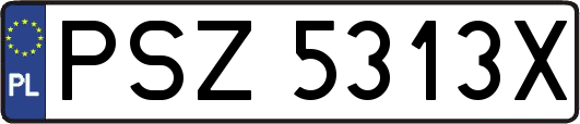 PSZ5313X