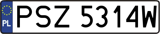 PSZ5314W