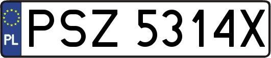 PSZ5314X
