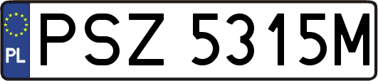 PSZ5315M