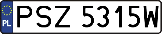 PSZ5315W