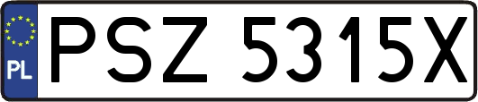 PSZ5315X