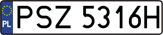 PSZ5316H