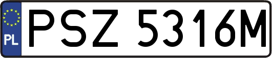 PSZ5316M