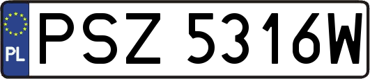 PSZ5316W