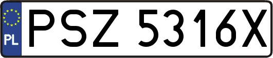PSZ5316X