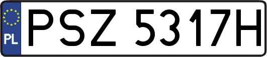 PSZ5317H