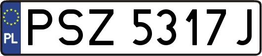 PSZ5317J