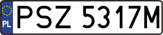 PSZ5317M