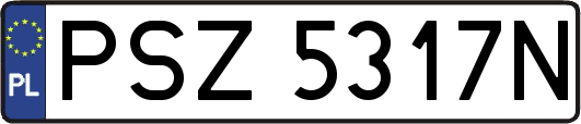 PSZ5317N