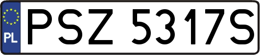 PSZ5317S