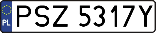 PSZ5317Y
