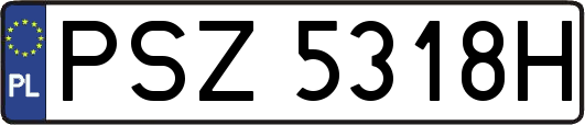 PSZ5318H