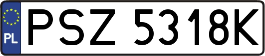 PSZ5318K