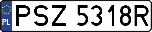 PSZ5318R