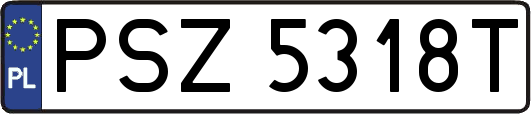 PSZ5318T