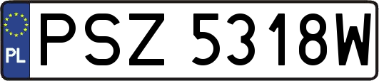 PSZ5318W