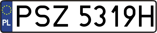 PSZ5319H