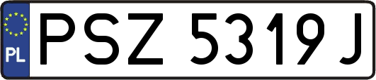 PSZ5319J