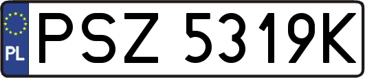 PSZ5319K