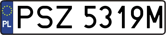 PSZ5319M
