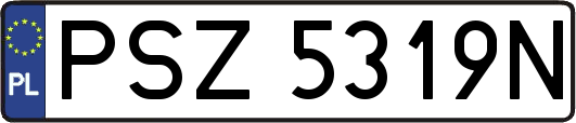 PSZ5319N