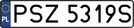 PSZ5319S