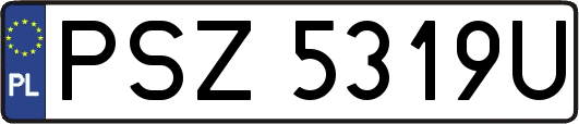 PSZ5319U