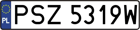 PSZ5319W