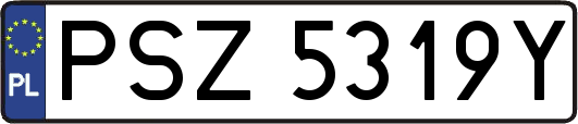 PSZ5319Y